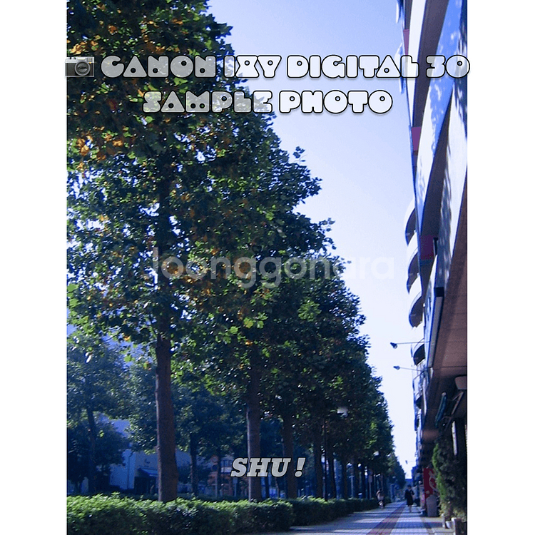 캐논 익시 ixy 30a 빈티지 디카 실버--6