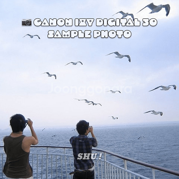 캐논 익시 ixy 30a 빈티지 디카 실버--7