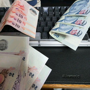 싱가포르달러달러 중고거래 | 중고나라 - 안심되는 중고거래