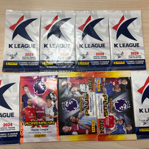 파니니카드 미개봉 9개