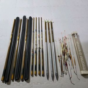 은성수파 노랭이 사진일괄