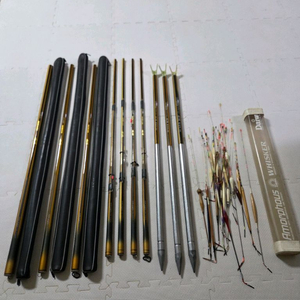 은성수파 노랭이 사진일괄