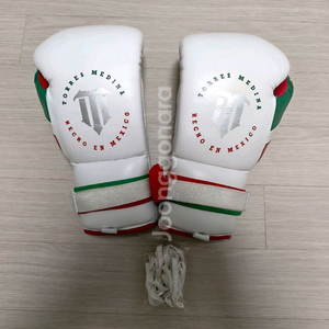 BOXEO TM 10온스 복싱 글러브