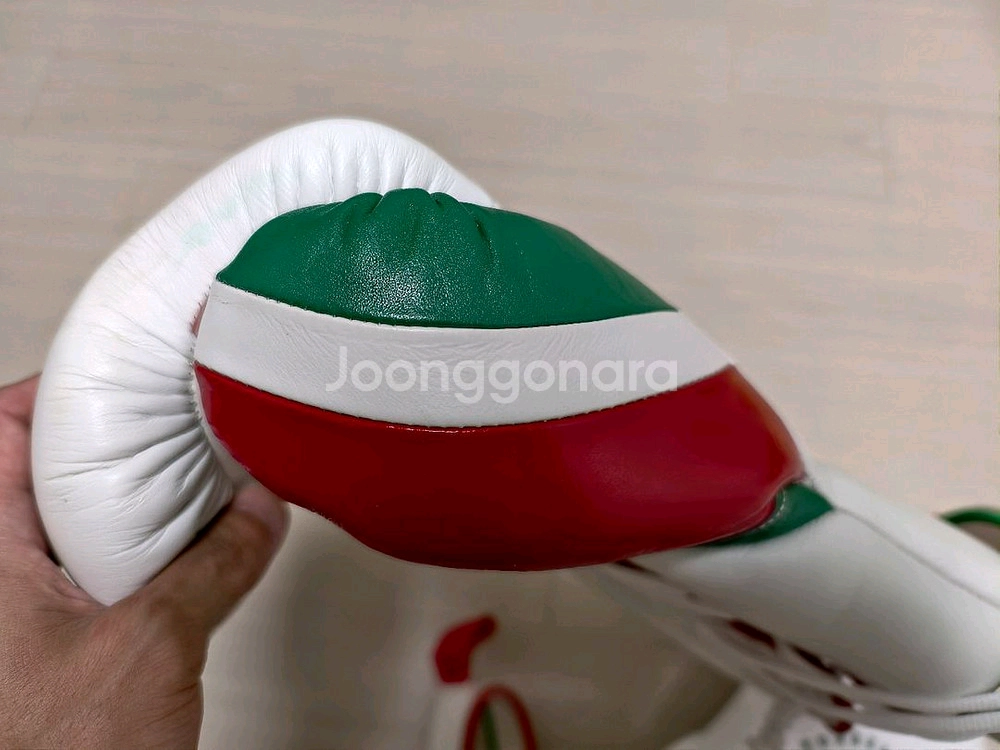 BOXEO TM 10온스 복싱 글러브 이미지