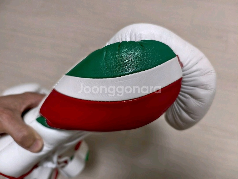 BOXEO TM 10온스 복싱 글러브 이미지