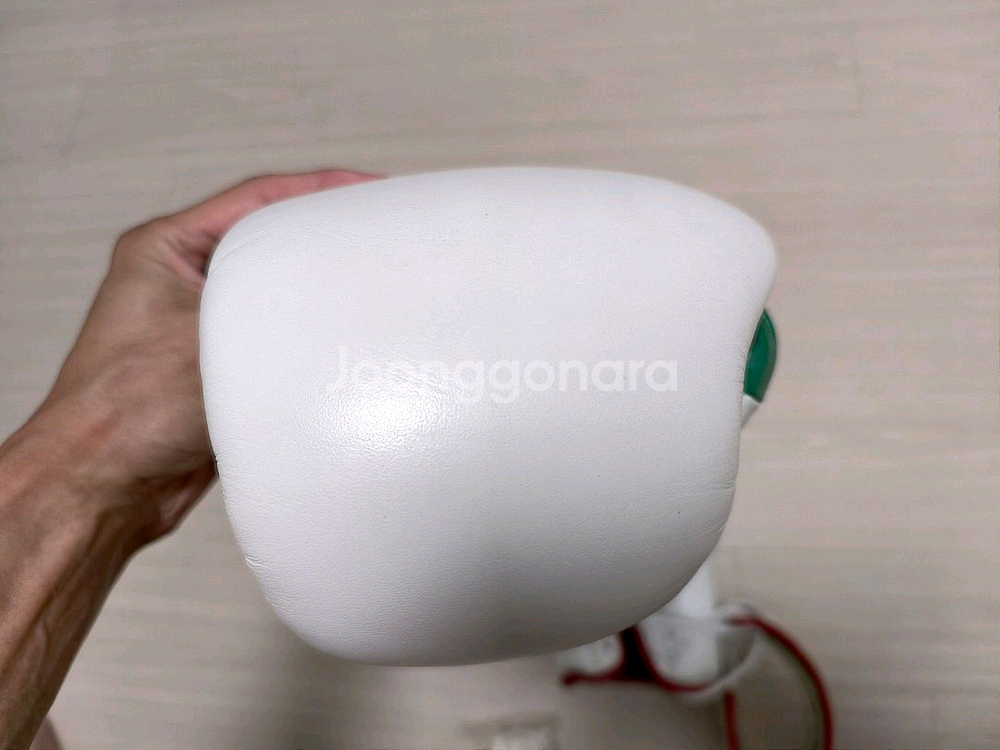 BOXEO TM 10온스 복싱 글러브--5