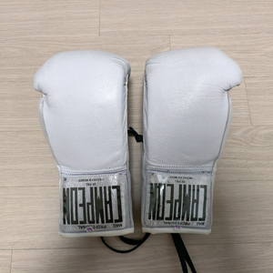 캄페온 10온스 복싱 글러브