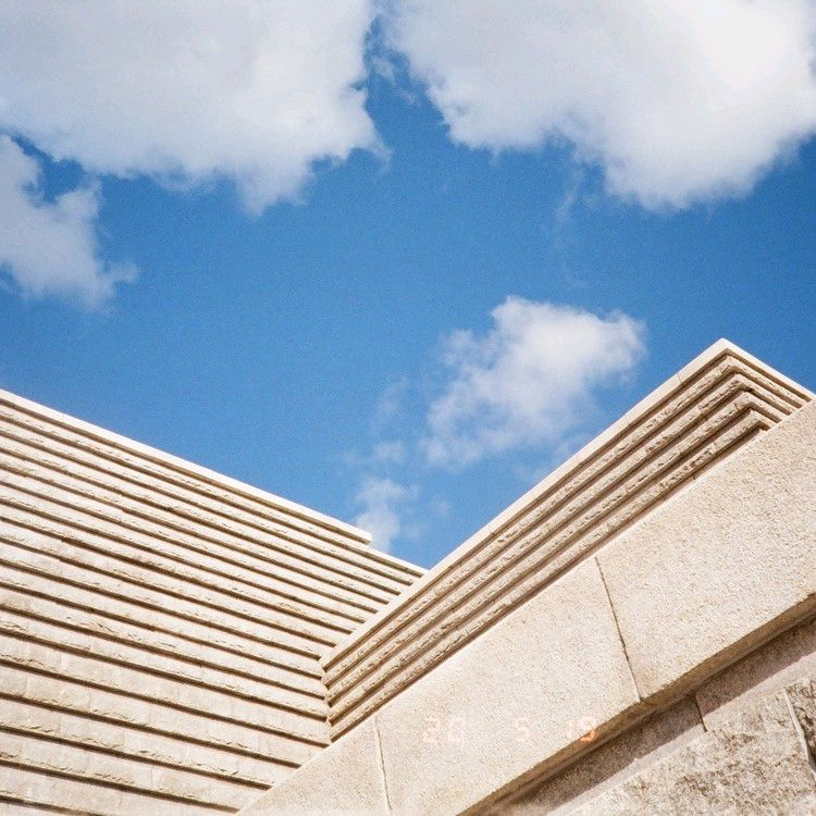 캐논 오토보이 TELE 필름 카메라 (빈티지 카메라) 이미지