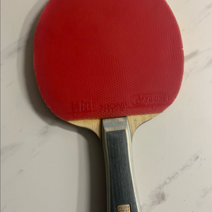 비스카리아alc, 이너포스zlc 탁구라켓