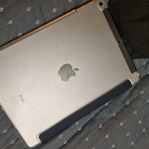 아이패드 에어2 샐룰러 32gb 이미지