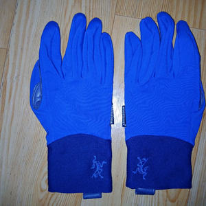 아크테릭스 벤타 LT 윈도 스토퍼 글러브