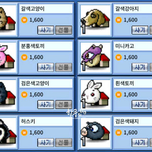 컨텐츠 정보 구글 이용료 정보 콘텐츠 69% 구입 합니다. (월코, 월드코인)