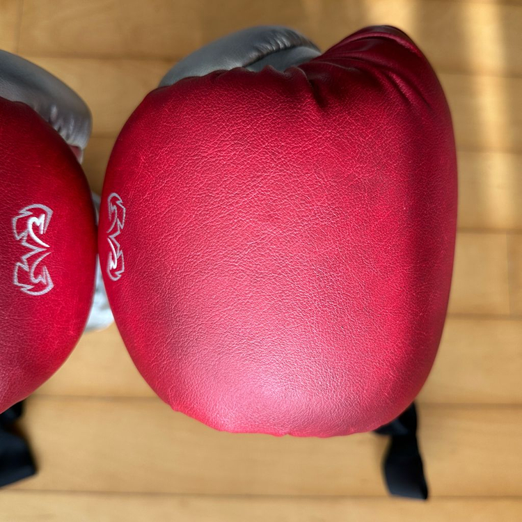 라이벌 RS100 14온스 스파링 글러브--5