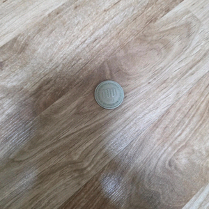 희귀동전 100원