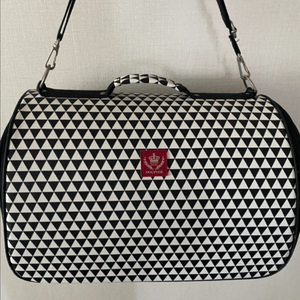 강아지 고양이 캐리어 이동가방