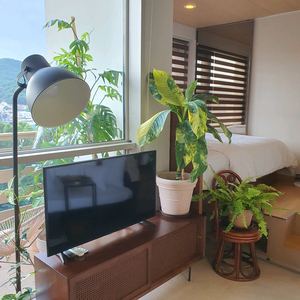 찰스퍼니처 천연 라탄 원목 TV 서랍장 + 천연등나무 회전의자