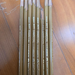 파버카스텔 PITT 압축목탄연필 medium8자루