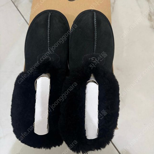 UGG 클래식 어그 250