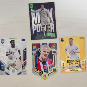 파니니 축구카드