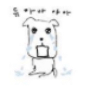 알로항 머니 팔아요