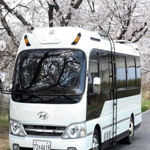 카운티캠핑카팝니다. 럭셔리끝판왕 이미지