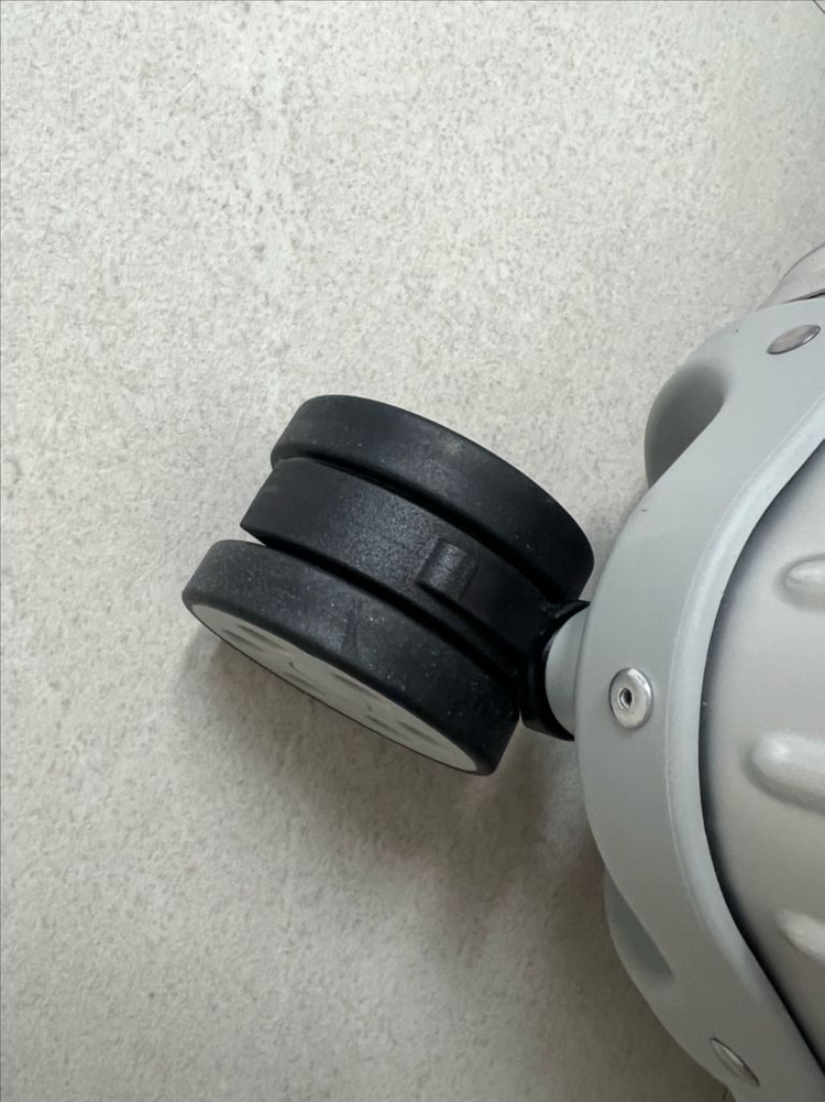 리모와 트렁크플러스--5