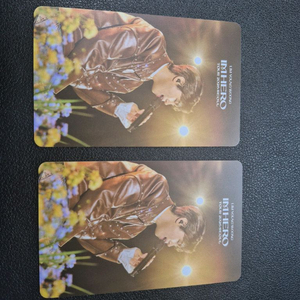 임영웅고척콘서트연석(1/17)