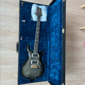 PRS custom 24 Artist top 30주년 브라질 지판