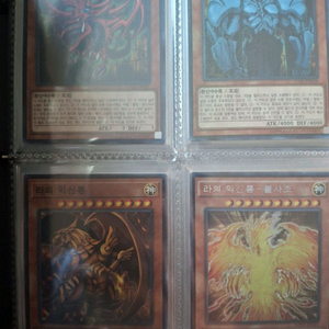 유희왕 카드 및 앨범
