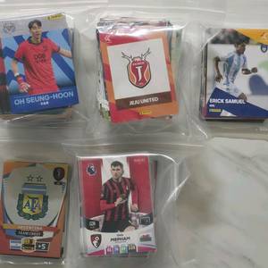 파니니 카드 (K리그 / 2022 카타르 월드컵 / PL)
