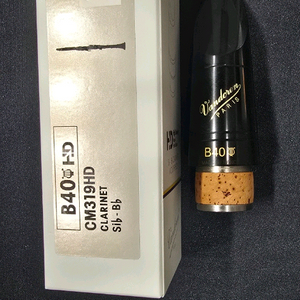 B40 lyre(하프) HD ,티타늄 조인트작업