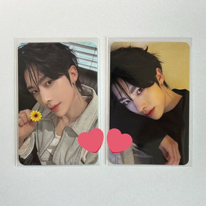 일괄 제로베이스원 제베원 정규 1집 앨범 뮤직코리아 꽃 미공포 포카 리키