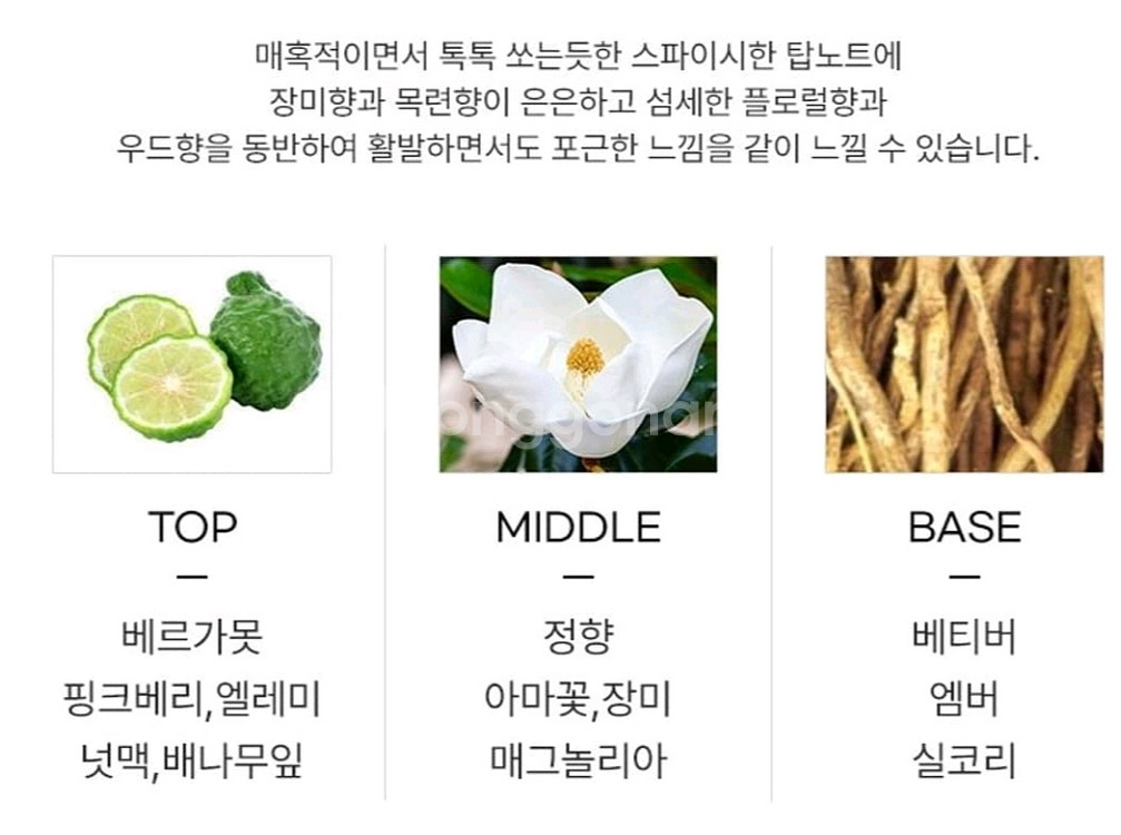 모스키노 토이 보이 오드퍼퓸 100ml--1