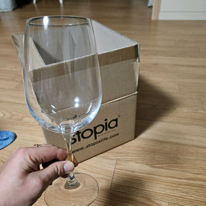 스토피아 스파지오 엑스라지 와인잔
