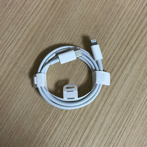 애플 정품 충전케이블 8핀-c타입