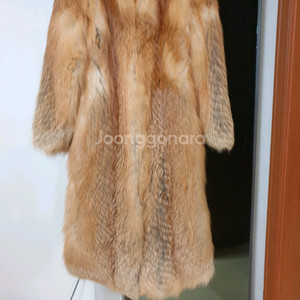 리얼레드퍼롱폭스