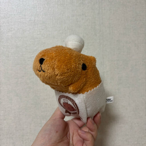 고전 빈티지 베이커리 카피바라상 인형 이미지