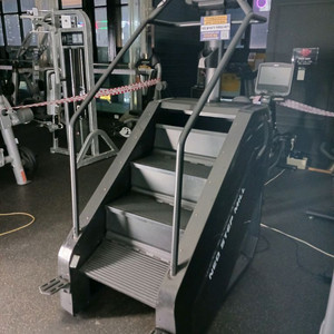 네오스텝밀(2023년식)