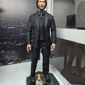 존윅 중고거래 | 중고나라 - 안심되는 중고거래