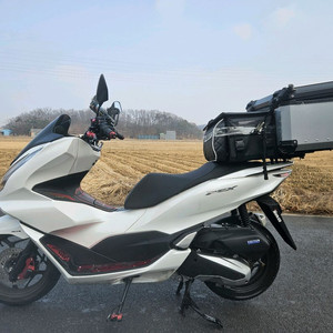 혼다PCX125/21년식/2만키로/235만원/배달세팅