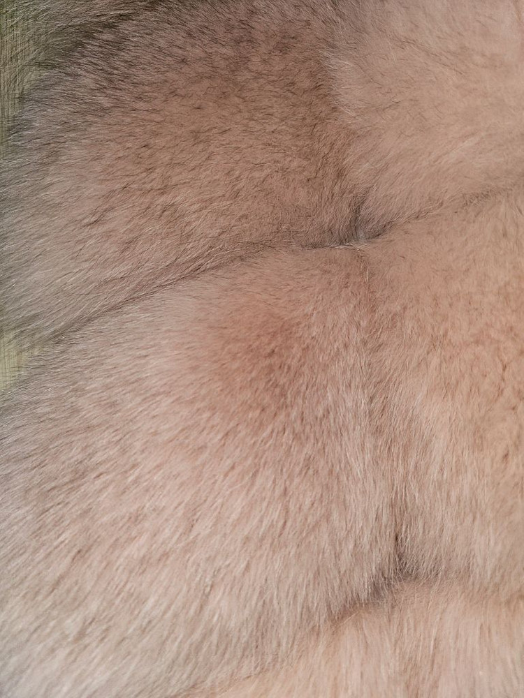 사가퍼 폭스퍼 폼폼 베스트 이미지