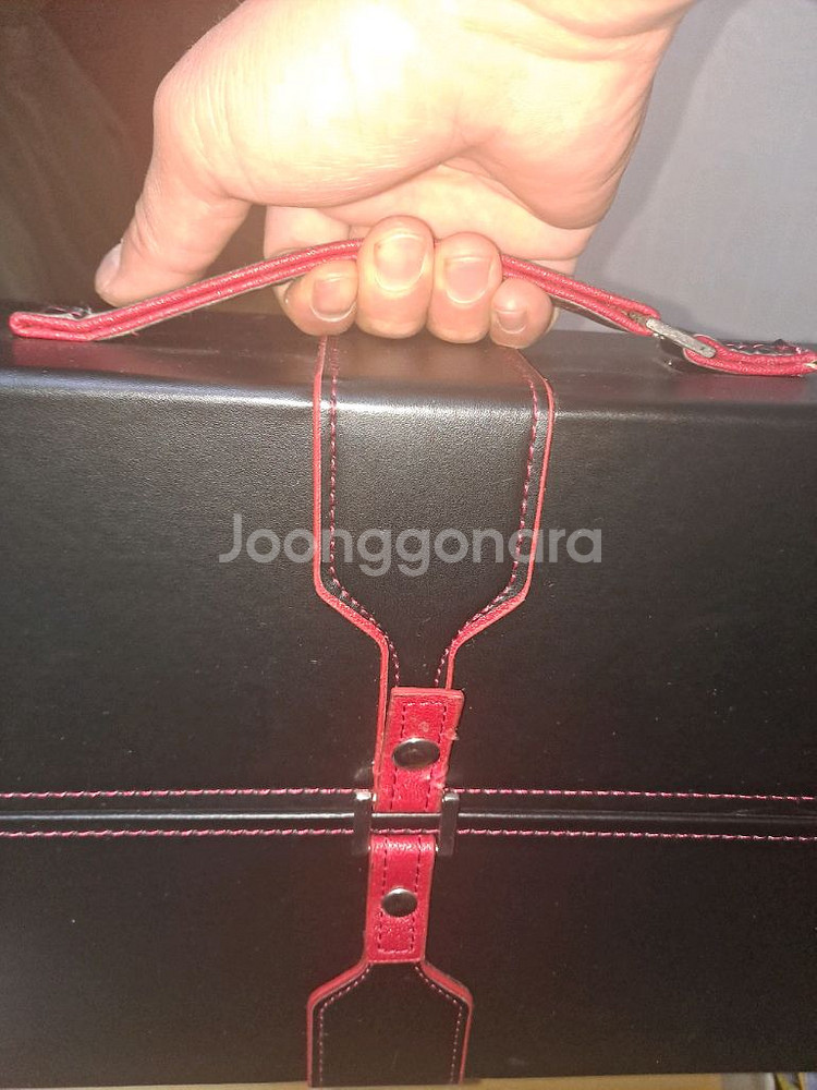 단하9호 사또 오 베르나르도 사또 갈투스 케이스 뫄인병케이스--7