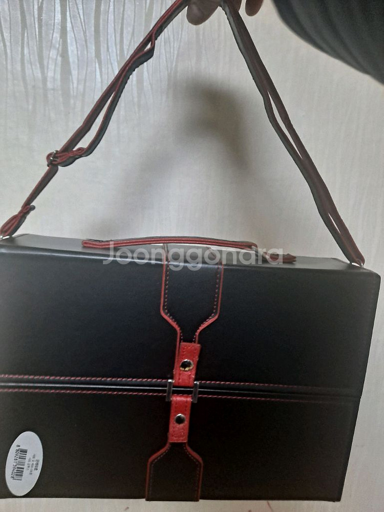 단하9호 사또 오 베르나르도 사또 갈투스 케이스 뫄인병케이스--9