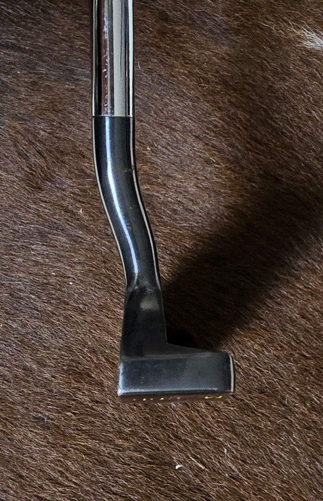 미즈노 스카티카메론 M-100 The Reason 더리즌 퍼터 이미지