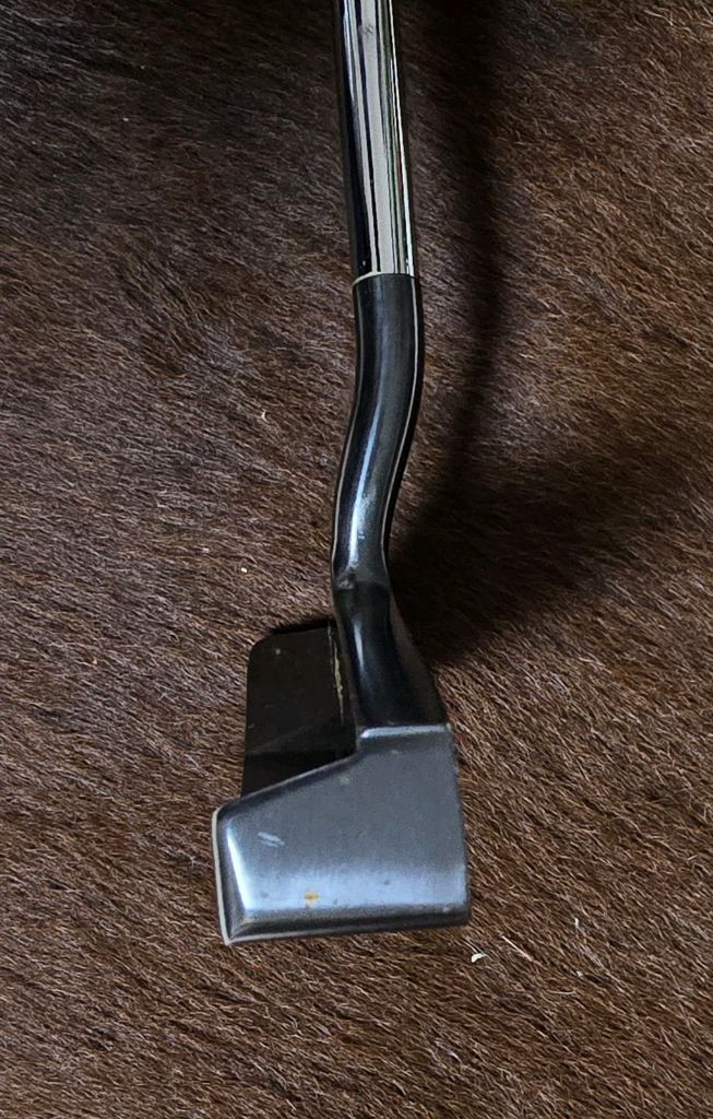 미즈노 스카티카메론 M-100 The Reason 더리즌 퍼터 이미지