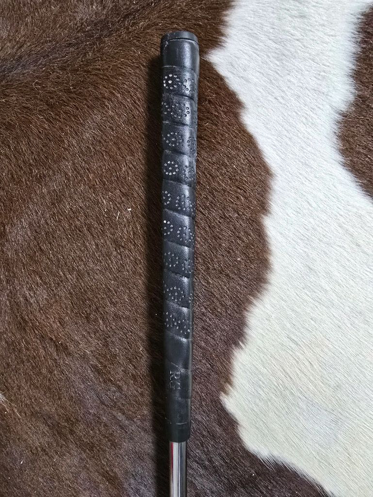 미즈노 스카티카메론 M-100 The Reason 더리즌 퍼터 이미지