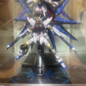 메탈로봇혼 스트라이크 프리덤 리코디데이트 버전 판매합니다.