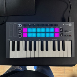 Novation Flkey (FLstudio) 미디 마스터키보드