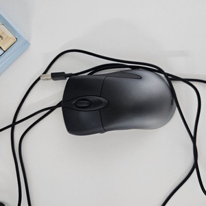 프로인텔리마우스