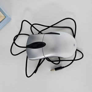 프로인텔리마우스